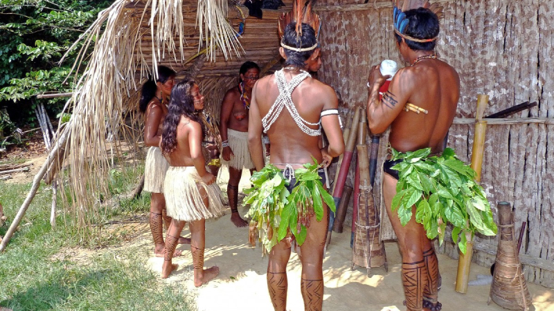 Danza del Amazonas