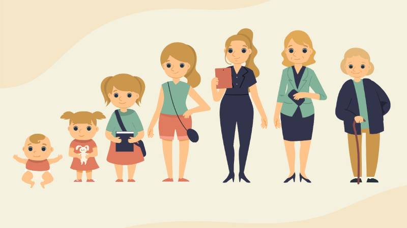 Etapas del desarrollo humano